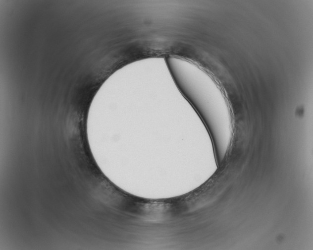 X0000116460225201001201307