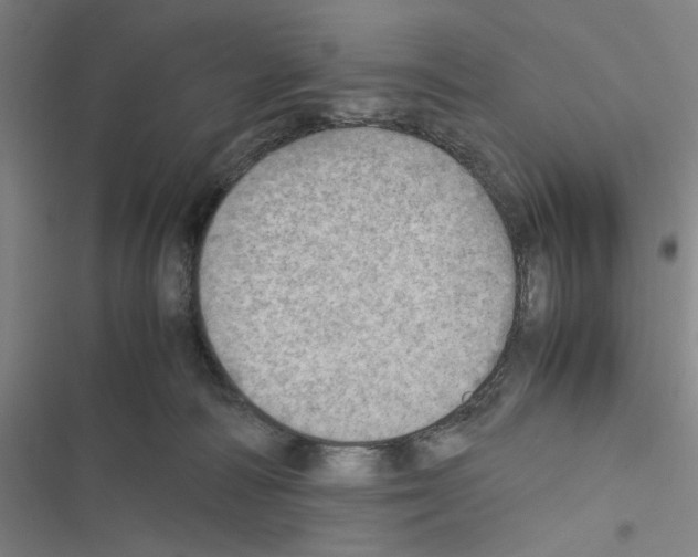 X0000116460226201001201307