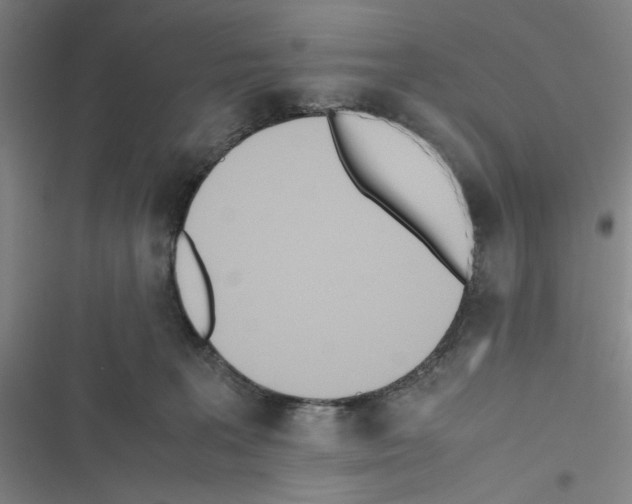 X0000116460227201001201307