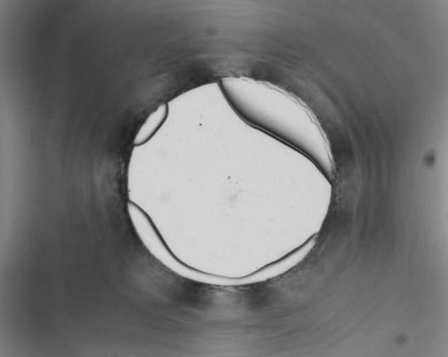 X0000116460229201001201307
