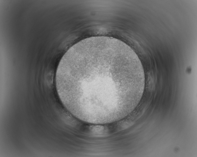 X0000116460230201001201307