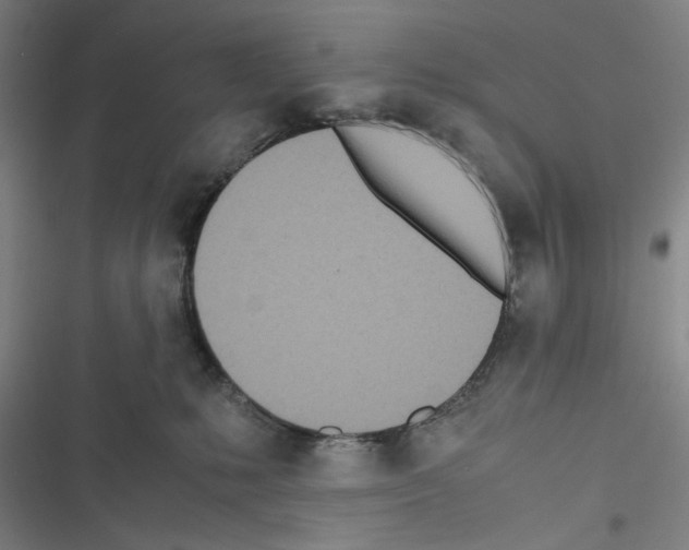 X0000116460231201001201307
