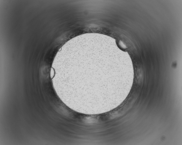 X0000116460232201001201307