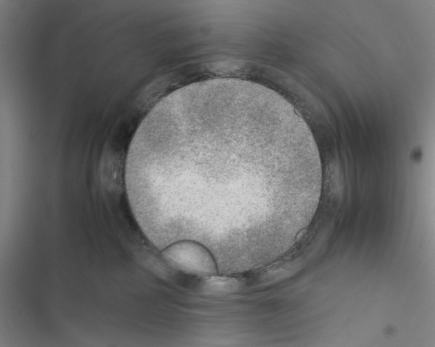X0000116460234201001201307