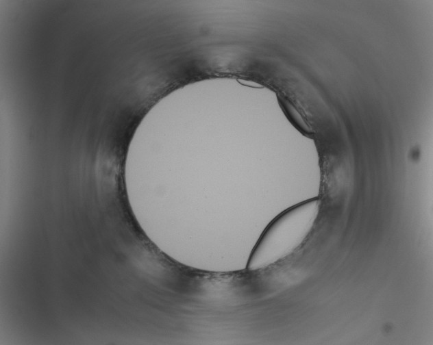 X0000116460235201001201307