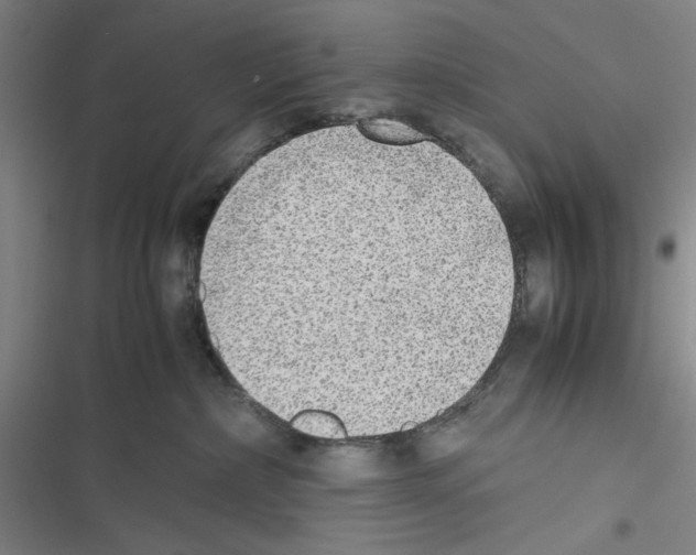 X0000116460236201001201307