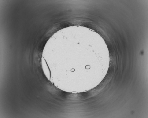 X0000116460237201001201307