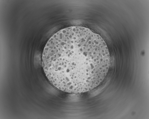 X0000116460238201001201307