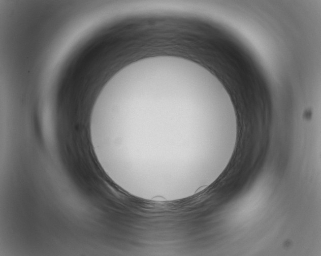 X0000116460239201001201307