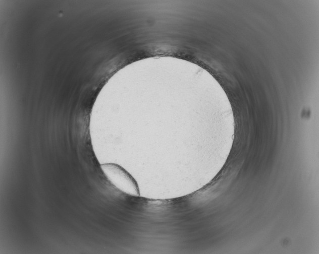 X0000116460240201001201307