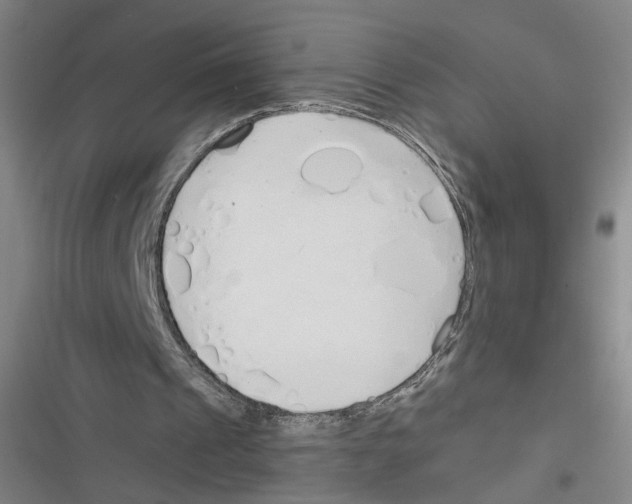 X0000116460241201001201306