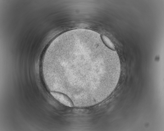X0000116460242201001201306