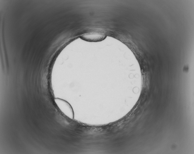 X0000116460243201001201306