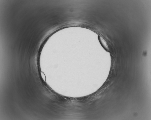 X0000116460244201001201306