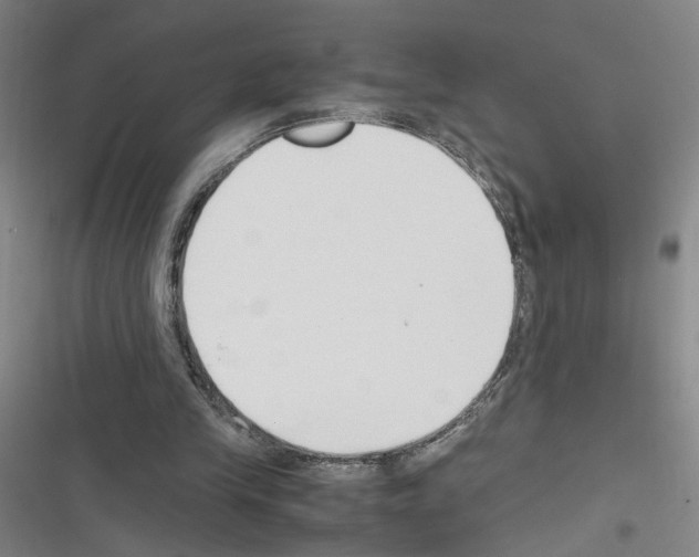 X0000116460245201001201306