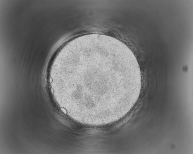 X0000116460246201001201306