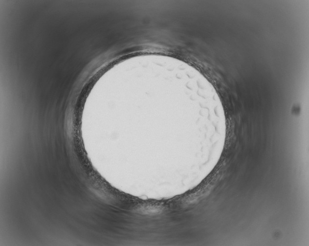 X0000116460247201001201306