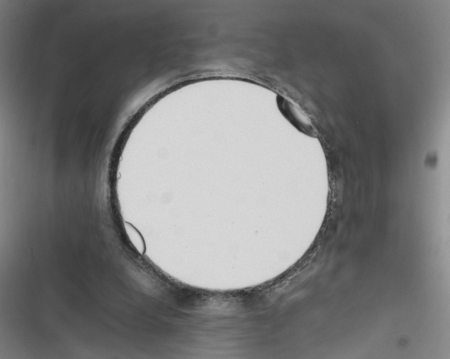 X0000116460248201001201306