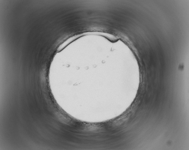 X0000116460249201001201306