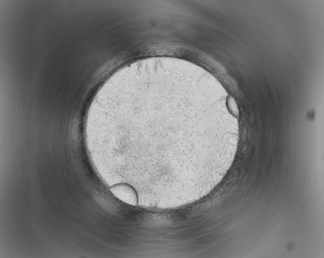 X0000116460250201001201306
