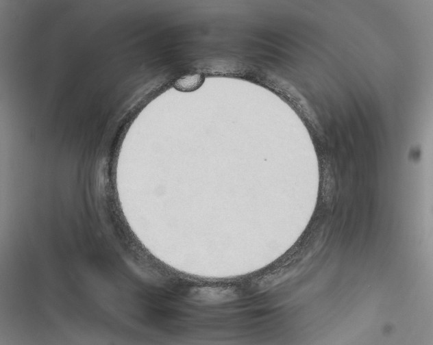 X0000116460251201001201306