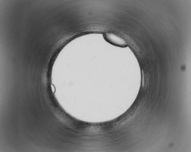 X0000116460252201001201306