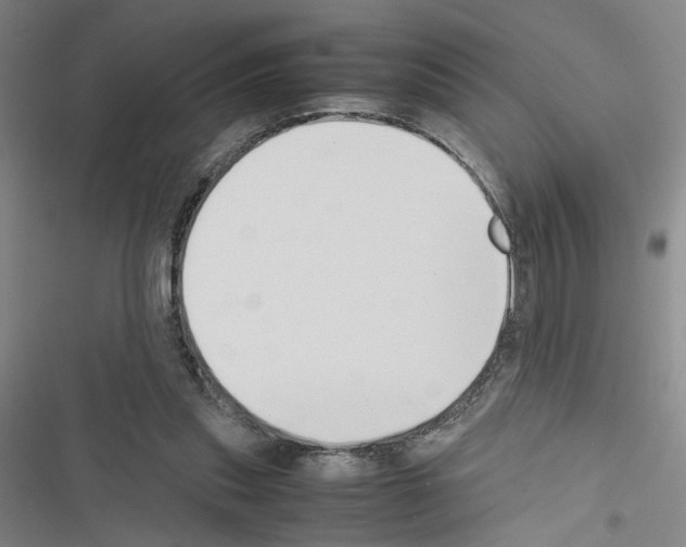 X0000116460253201001201306