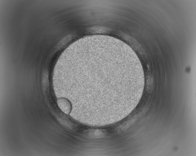 X0000116460254201001201306
