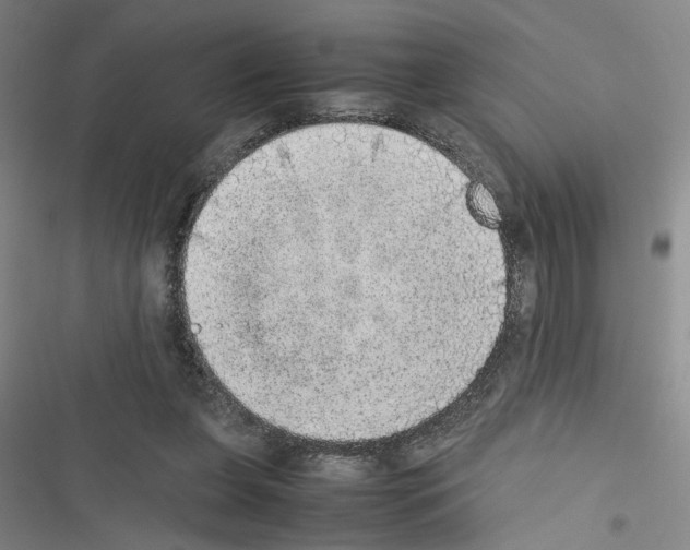 X0000116460255201001201306