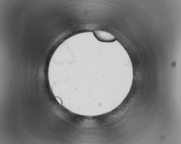 X0000116460256201001201306