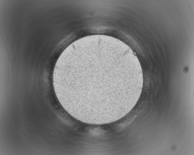 X0000116460258201001201306