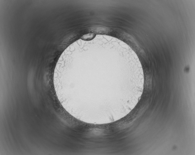 X0000116460259201001201306