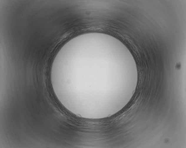 X0000116460260201001201306