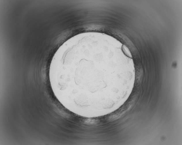 X0000116460261201001201306