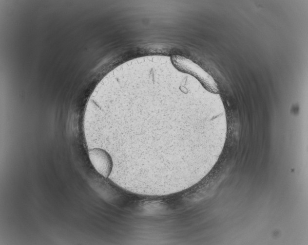 X0000116460262201001201306