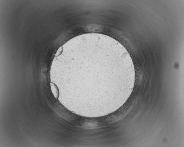 X0000116460263201001201306