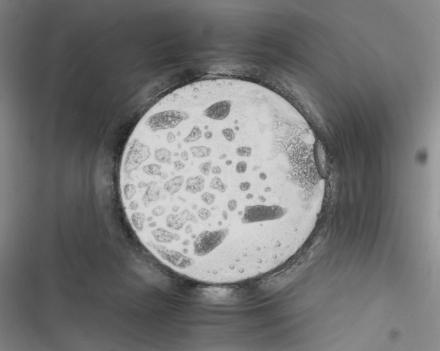 X0000116460265201001201306