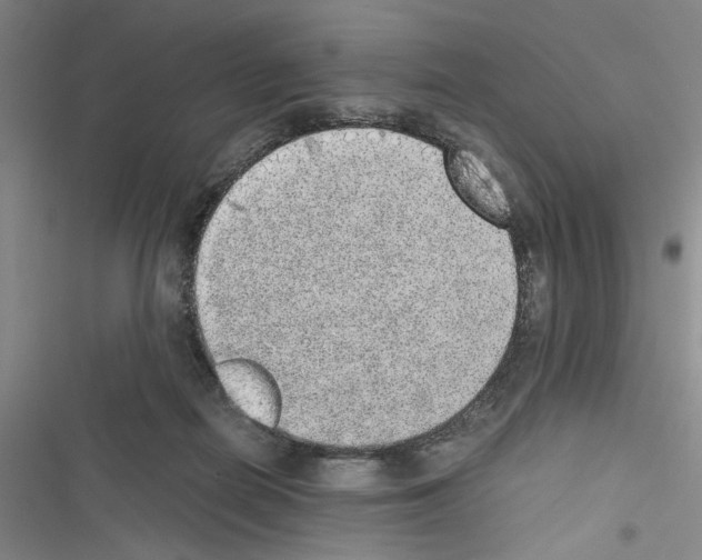 X0000116460266201001201306