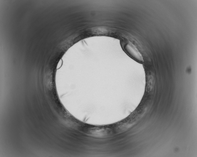 X0000116460267201001201306