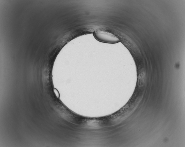 X0000116460268201001201306