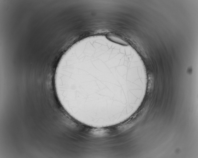 X0000116460269201001201306
