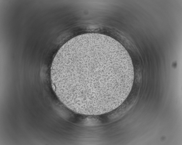 X0000116460270201001201306