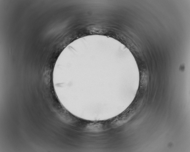 X0000116460271201001201306