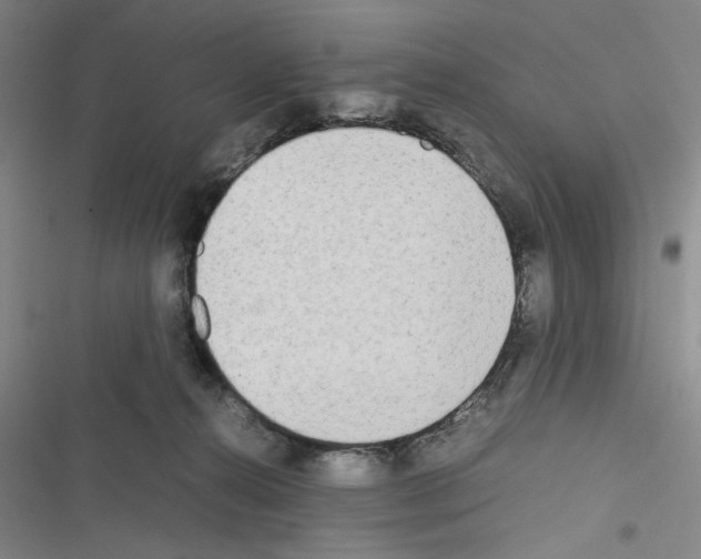 X0000116460272201001201306