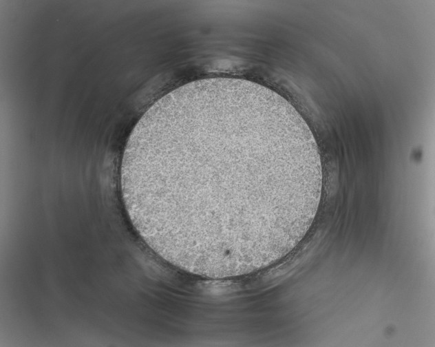 X0000116460273201001201306