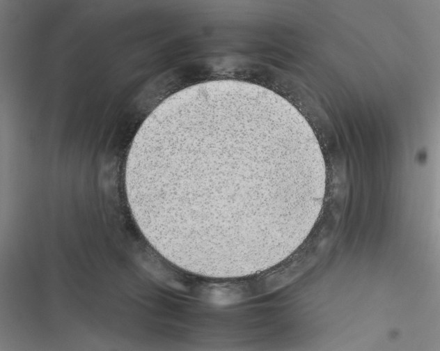 X0000116460275201001201306