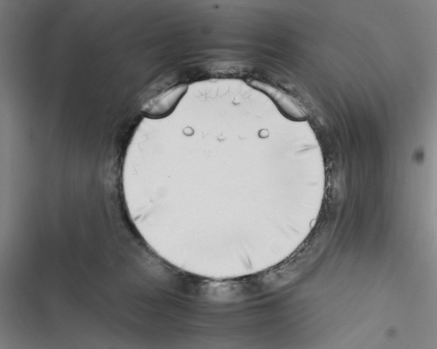 X0000116460277201001201306