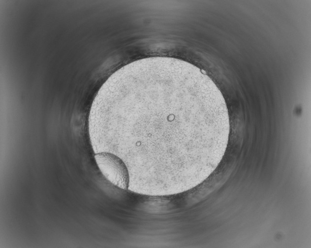 X0000116460278201001201306