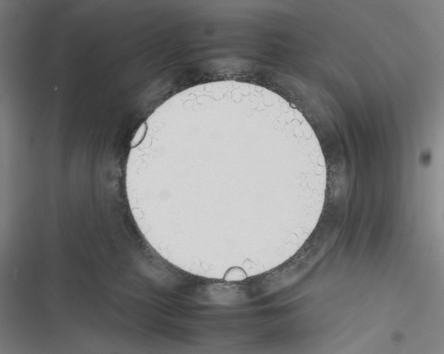 X0000116460279201001201306