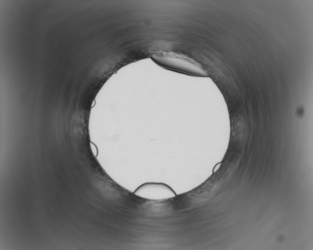 X0000116460280201001201306
